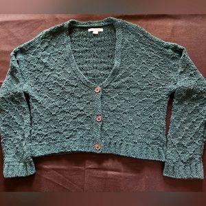 American Eagle Cardigan